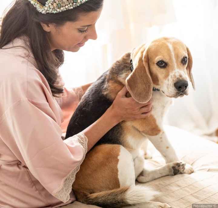 ¿Os haréis fotos con vuestra mascota el día B? - 1
