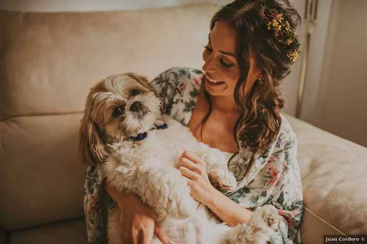 ¿Incluiréis a vuestras mascotas en al álbum de boda? 🐶 - 1