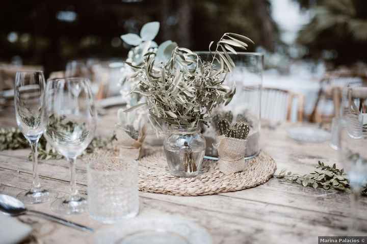 Plantas suculentas para tus centros de mesa, ¿Te gustan? 😊 - 1