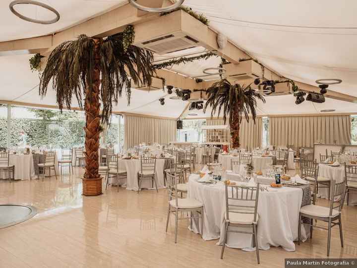 ¿Quieres darle un toque tropical a tu banquete? ¡Haz clic aquí! 👇 - 1
