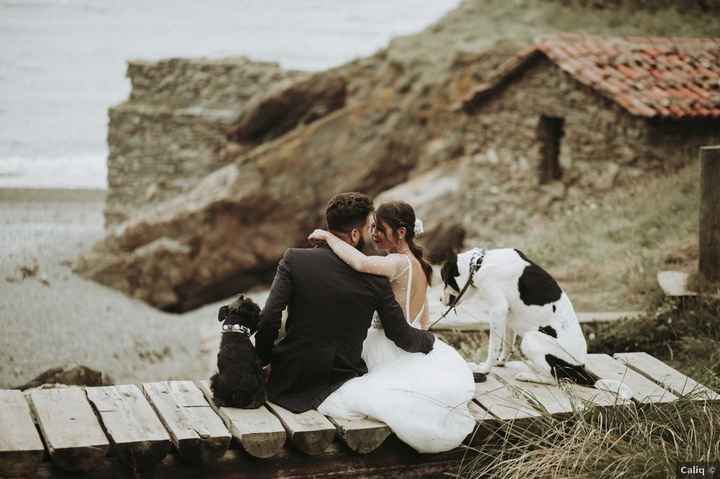 ¿Habéis pedido dinero a vuestra familia para la boda? - 1