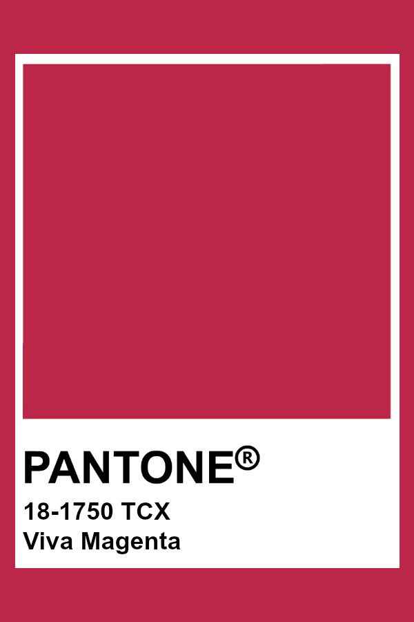 Viva Magenta: ¡el color del año 2023! - 1