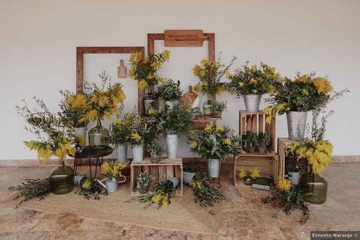 ¡Decora tu seating plan con mimosas! 💐 - 1