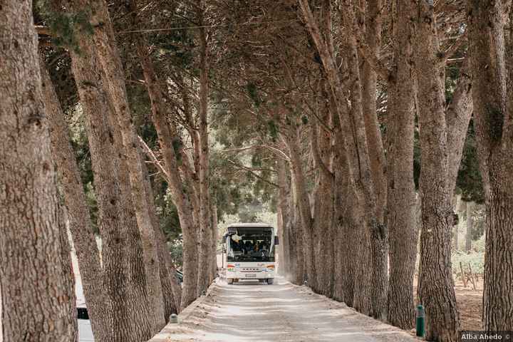 ¿Contrataréis un autobús para vuestros invitados? - 1