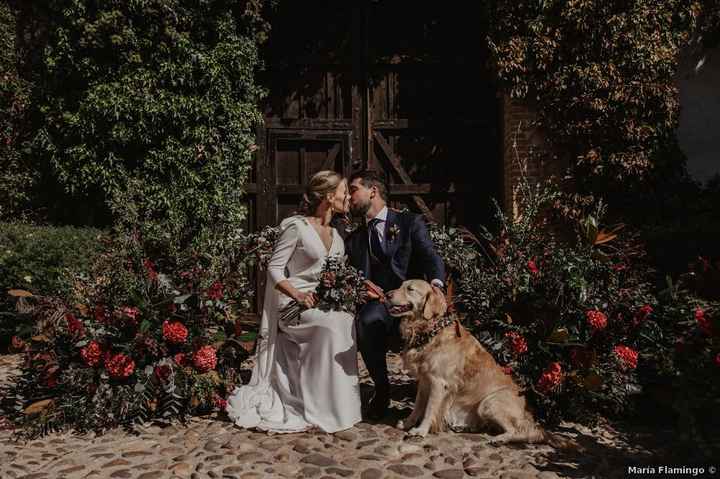 ¿Tendréis una boda temática? - 1