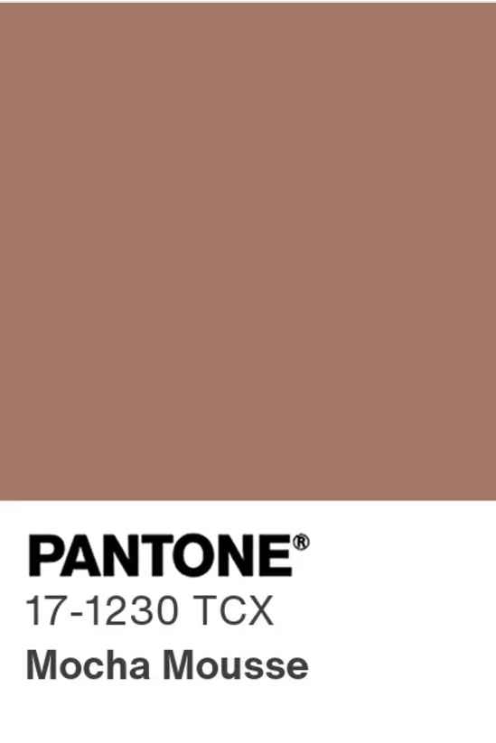 Mocha Mousse: ¡El color del año 2025!☕️🍫 - 1