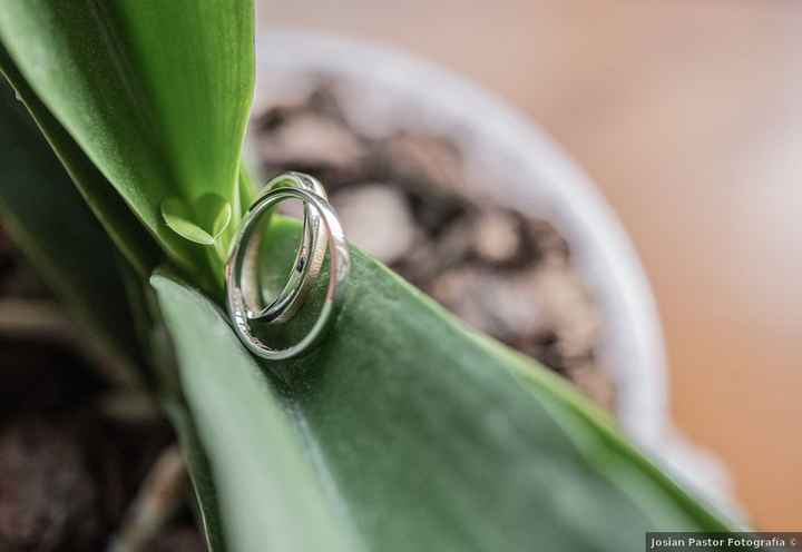 Descuentos de primavera en alianzas:  ¿cuál es vuestro presupuesto? - 1