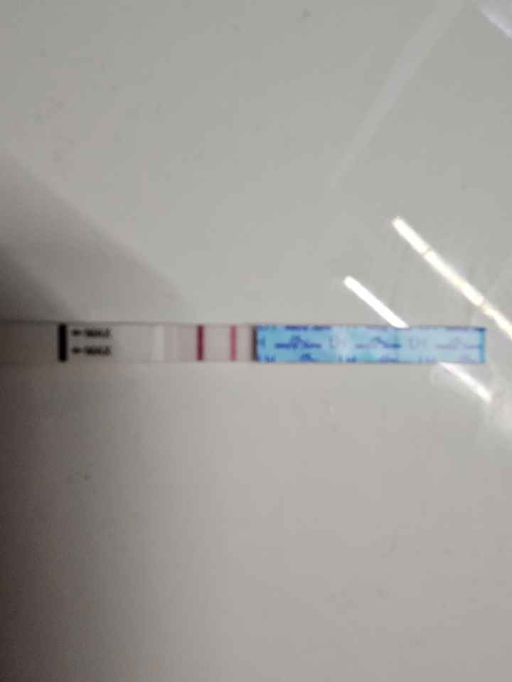 ✨️🤍 Buscadoras Octubre 🤍✨️ - 1