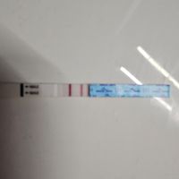 ✨️🤍 Buscadoras Octubre 🤍✨️ - 1