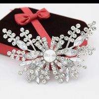 Broches para sujetar la cola - 2