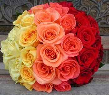 Rosas