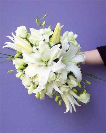 Blanco