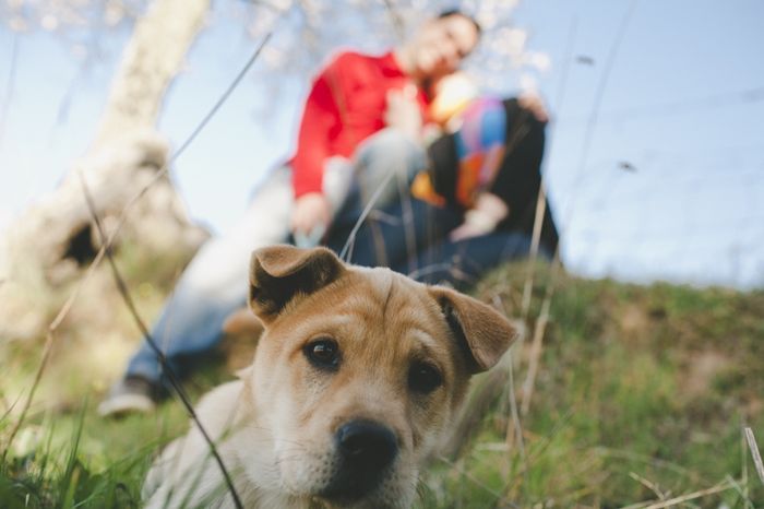 Nuestro Leo