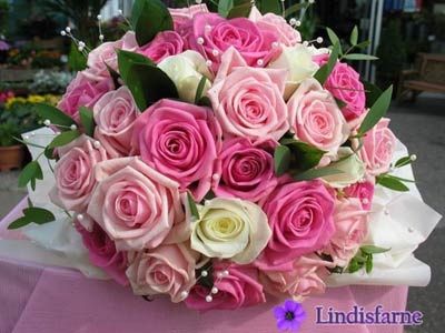 Rosas