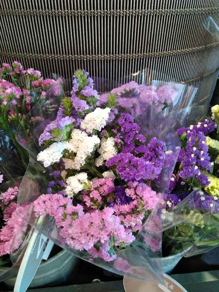 Petalos - 1