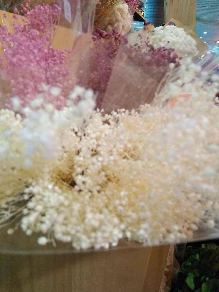 Petalos - 2