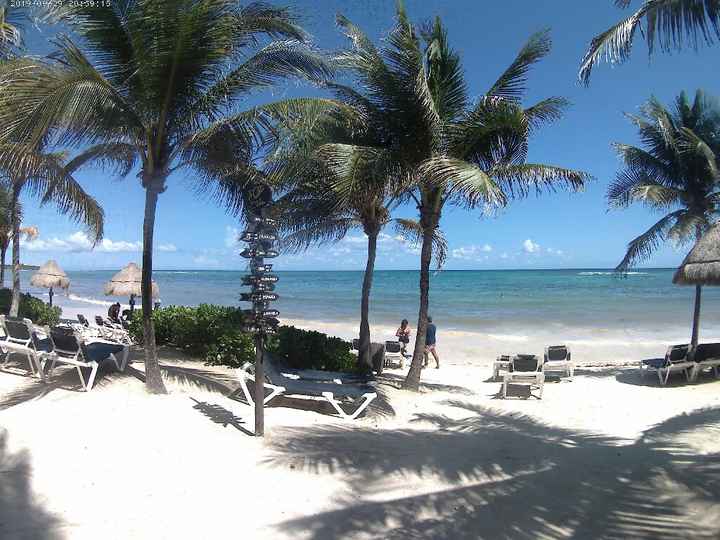 Riviera Maya Sargazo - 2