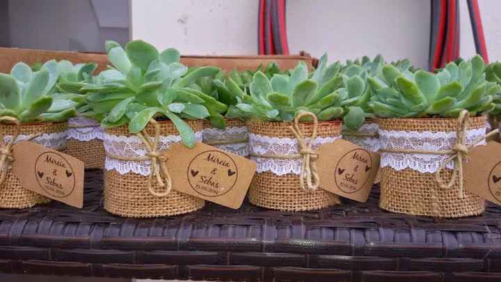 Plantas crasas como detalle para las mujeres