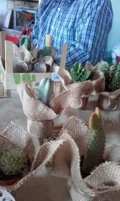 Plantas para regalar - 1