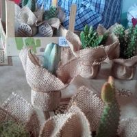 Plantas para regalar - 1