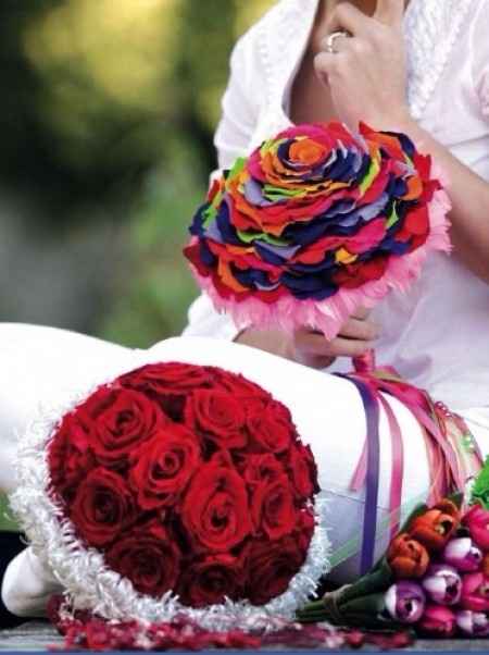 Rosmelia varios colores - 1