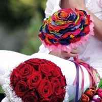 Rosmelia varios colores - 1