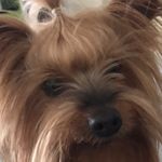 Mariely