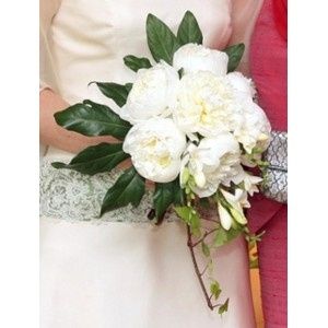 peonias blancas