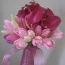 calas y tulipanes