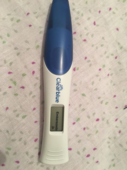  Gran sorpresa!!! Estoy embarazada!!! - 1