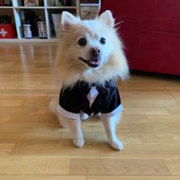 Mi lolo ya está preparado!😍 - 1