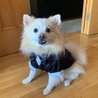 Mi lolo ya está preparado!😍 - 2