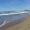 Yolanda