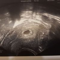 Futuras mamas julio 2019 - 1