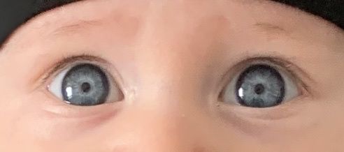 Color de ojos Recién Nacido 2