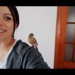 Rocio