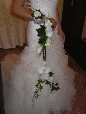 MI RAMO!!!!