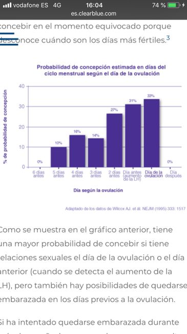Buscadoras Noviembre 2018 1