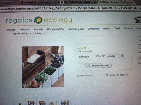 Detalles con plantitas - 2
