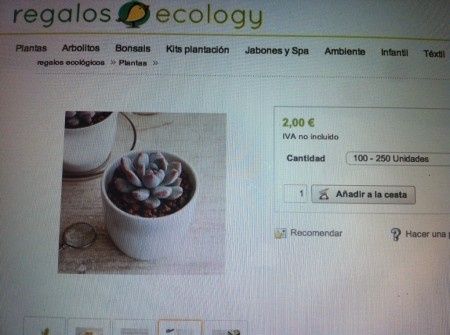 Detalles con plantitas - 4