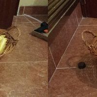 Cestas para baños