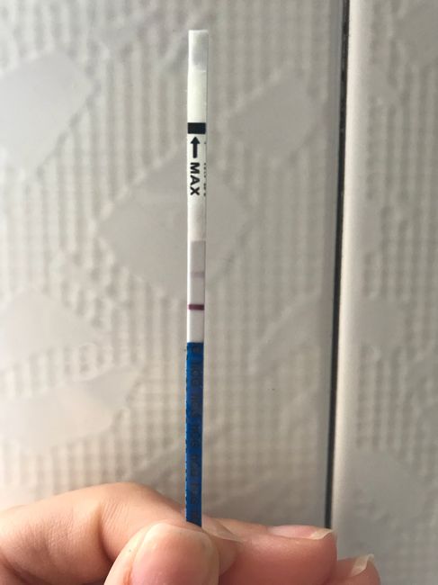 Buscadora primer bebé con dudas! - 2