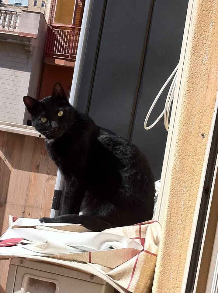 Buffy