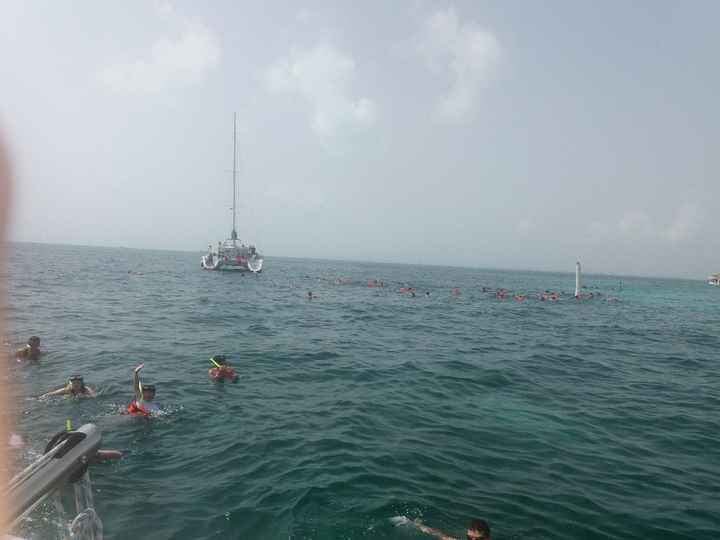 Excursiones riviera Maya!! - 6