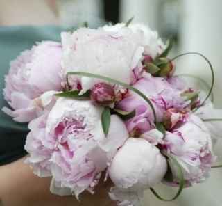 Peonias