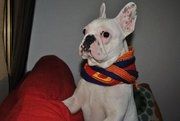 barçaaa