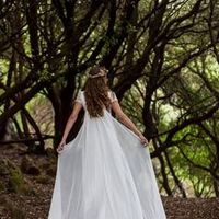 ninfa