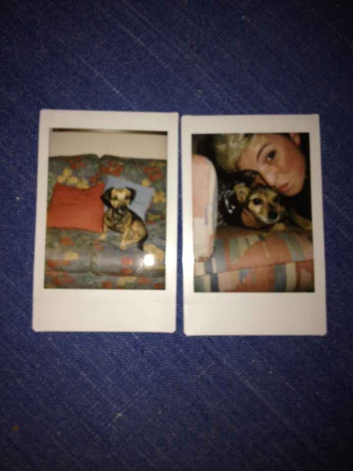 Camara Polaroid - 1