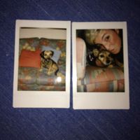 Camara Polaroid - 1