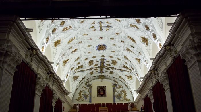 centro de artes escenicas de olmedo